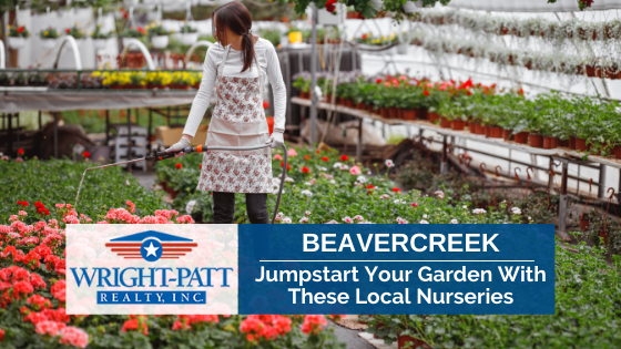 Find the perfect flowers and plants with these local Beavercreek garden centers.