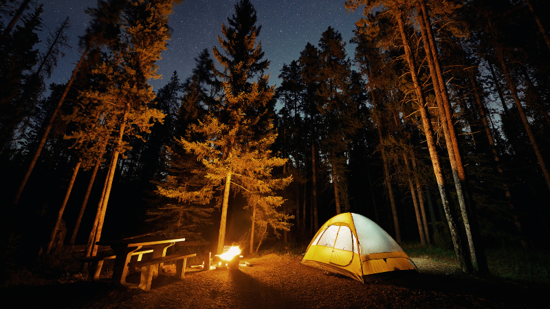 Best Campgrounds Around Greene County for June Escapes | Wright-Patt Realty