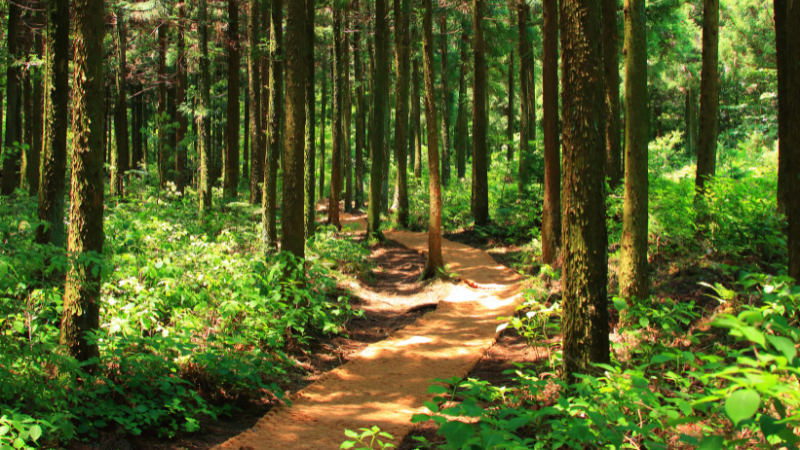 Best Places for a Quick Morning Hike around Beavercreek | Wright-Patt Realty