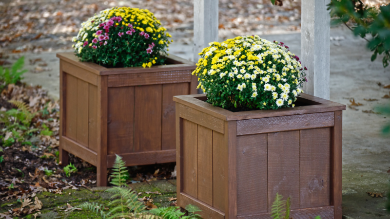Creating Eye-Catching Planter Arrangements for Buyers | Wright-Patt Realty