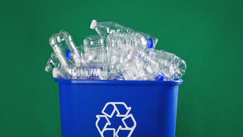 Eco-Friendly Living: Recycling Tips for Beavercreek Homeowners
