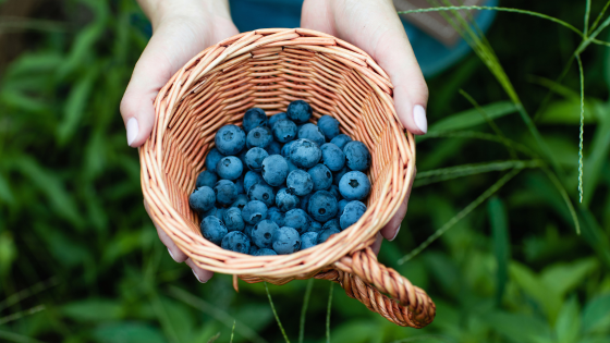 Local Farms for Fresh Produce, Flowers, and More | Wright-Patt Realty