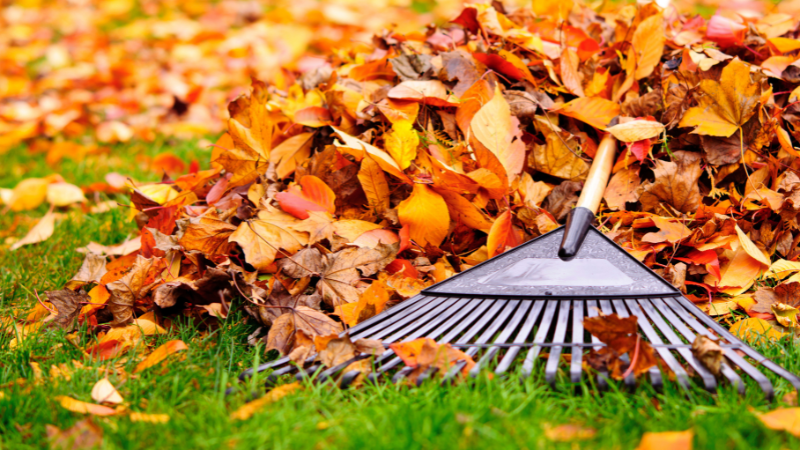 Why October Is Key for Protecting Lawns and Gardens | Wright-Patt Realty
