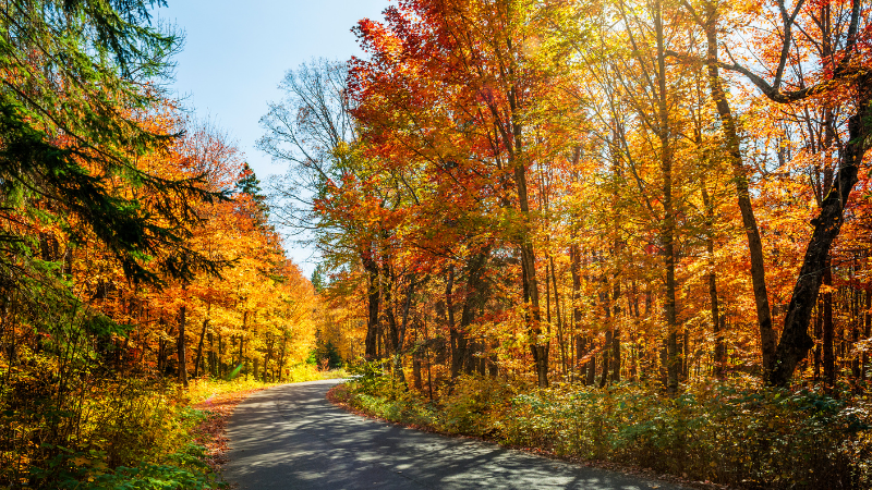 Fall Weekend Activities Around Beavercreek Locals Look Forward To | Wright-Patt Realty