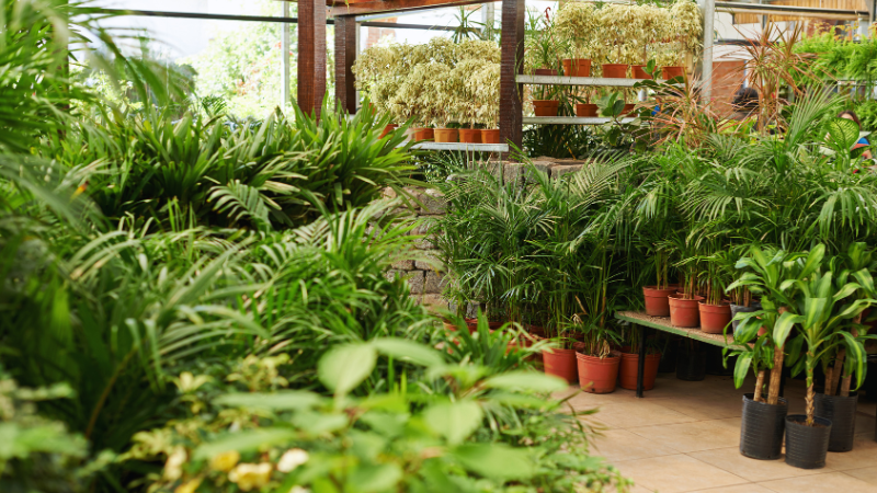 Garden Centers and Plant Shops to Visit This Spring Near Beavercreek | Wright-Patt Realty