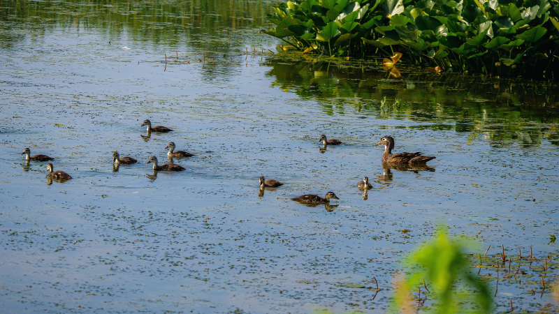 Late-Summer Parks and Green Spaces Locals Love Around Beavercreek | Wright-Patt Realty